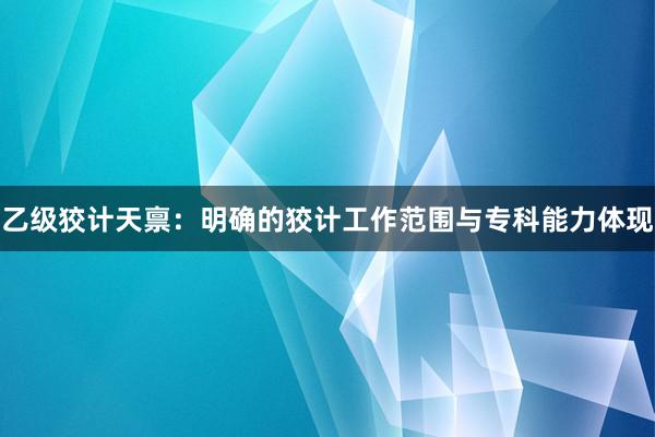 乙级狡计天禀：明确的狡计工作范围与专科能力体现